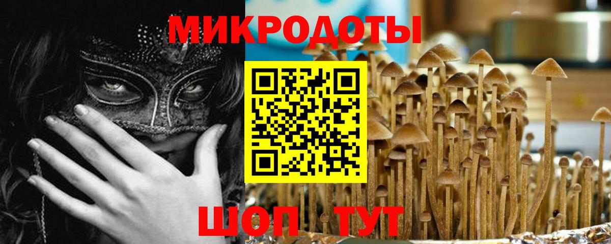 Нерюнгри  Галлюциногенные грибы Cubensis  Вход с VPN 